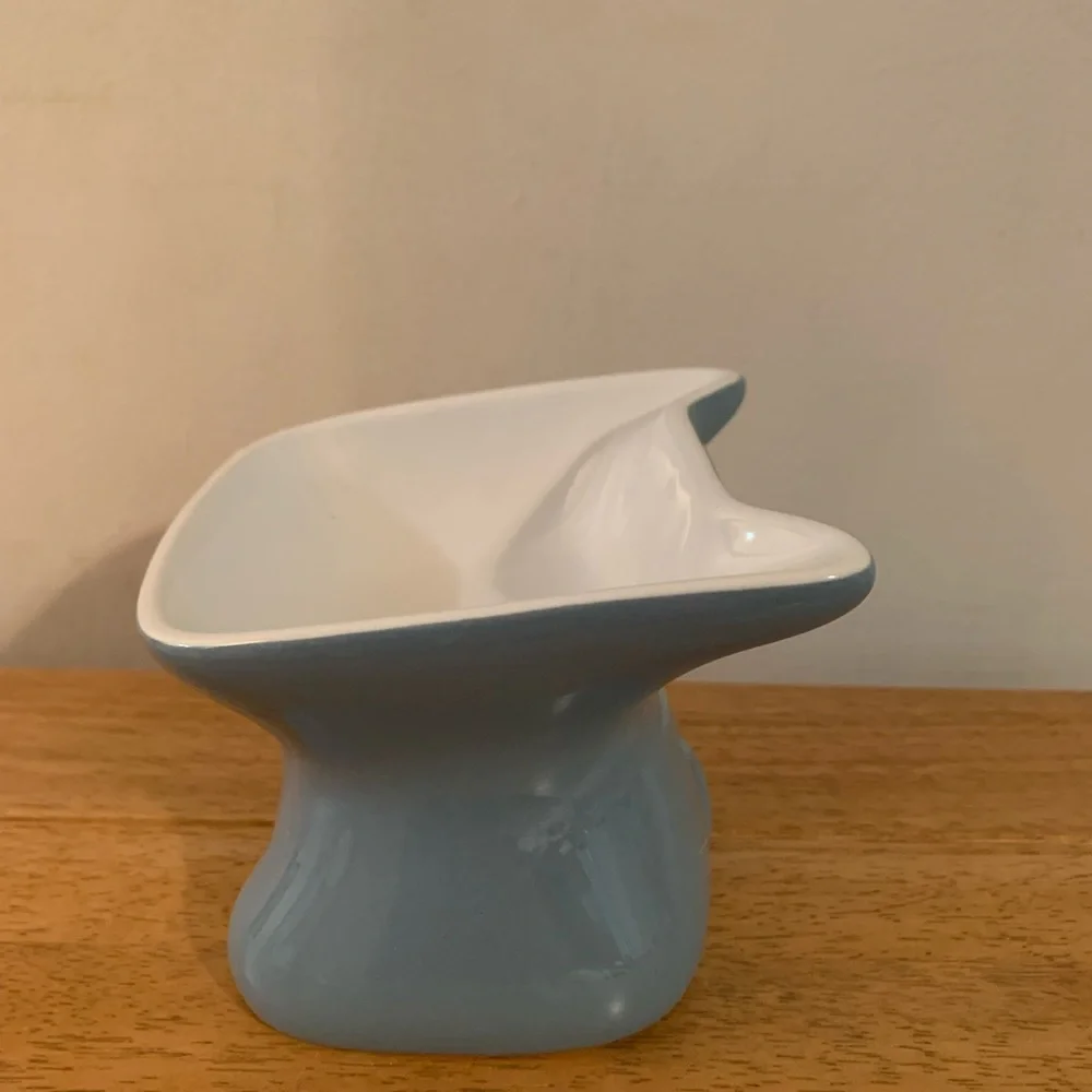 Whisker City Elevated Ceramic Cat Bowl Blue